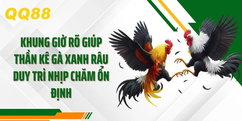 Khung giờ rõ giúp thần kê gà xanh râu duy trì nhịp chăm ổn định